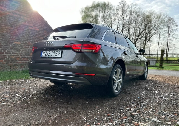 Audi A4 cena 75999 przebieg: 167000, rok produkcji 2016 z Warka małe 379